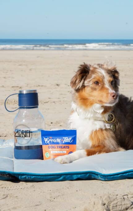 Puppy Package